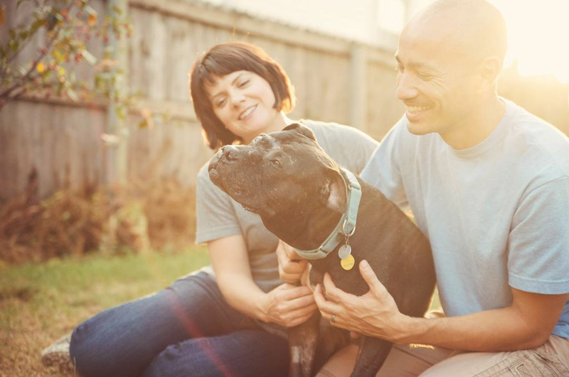 Illustration for article titled Your Morning Cry: Photos of People With Their Elderly Pets, Oh God